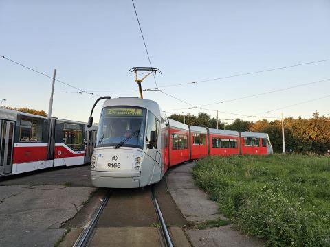 Foto #80