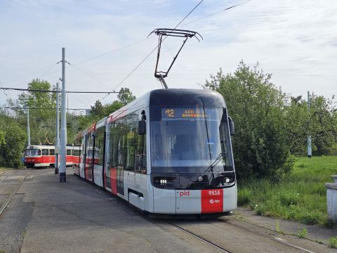Foto #90